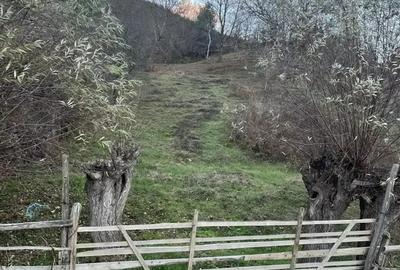 Teren de 1810 mp, în Central - 1
