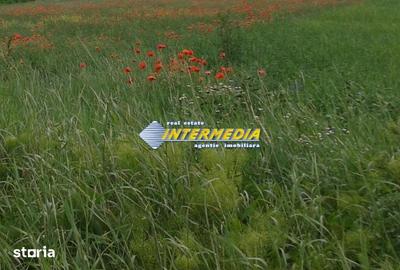 Teren de 600 mp, în Cetate
