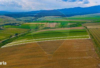 Teren de 10800 mp, în Central
