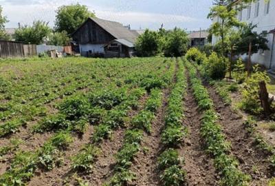 Casă cu 4 camere cu Teren 2200 Mp în Mihăileni