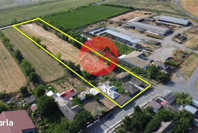 Casă cu 7 camere cu Teren 5000 Mp în Mihail Kogălniceanu