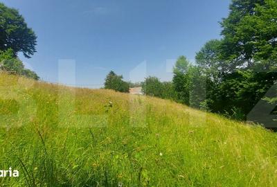 Casă cu 2 camere cu Teren 4000 Mp în Barcani - 2