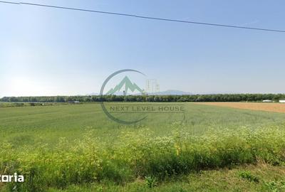 Teren de 9950 mp, în Stupini