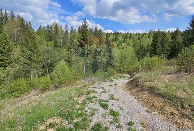 Teren agricol intravilan de 4048 mp, în Periferie - 21