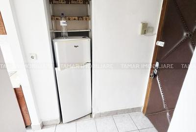 Apartament cu 2 camere în Șega - 4