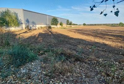 Teren de 2500 mp, în Moara Domnească - 3