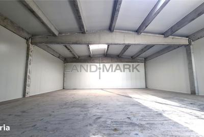 Spațiu comercial, de 1,100 mp, în Dumbrăvița - 8
