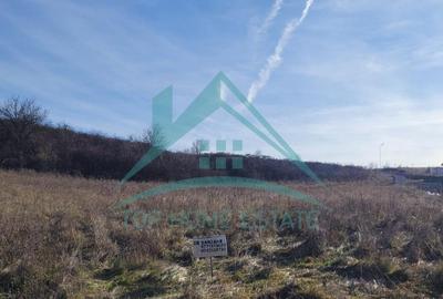 Teren Construcții intravilan de 2900 mp, în Chinteni