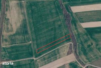 Teren de 3270 mp, în Saca