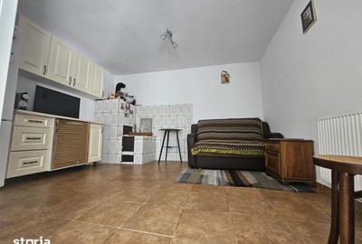 Casă cu 4 camere cu Teren 1387 Mp în Murighiol - 17