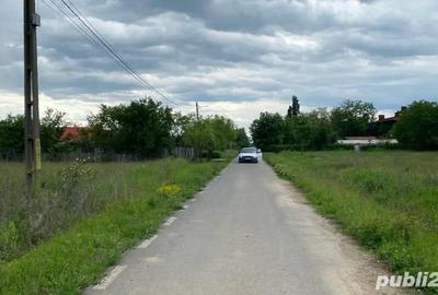 Teren de 7000 mp, în Bâldana - 4