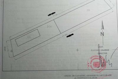 Casă cu Teren 978 Mp în Podu Pitarului - 1