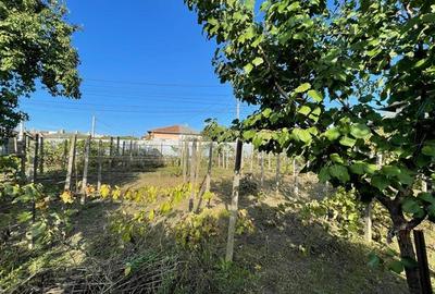 Casă individuală cu 3 camere cu Teren 532 Mp în 23 August - 3