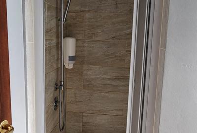 Apartament cu 3 camere semidecomandat, mobilat în Central - 32
