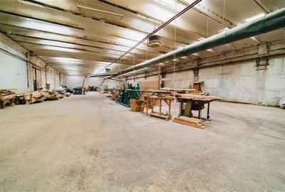 Spațiu industrial, de 4,439 mp, în Vest - 16