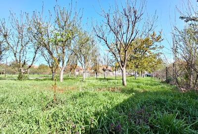 Casă individuală cu 5 camere cu Canalizare în Sud - 42