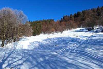 Teren de 8700 mp, în Tărlungeni