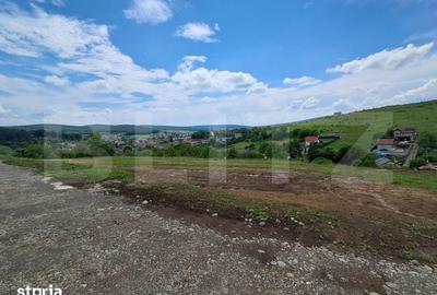 Teren de 1000 mp, în Livezeni