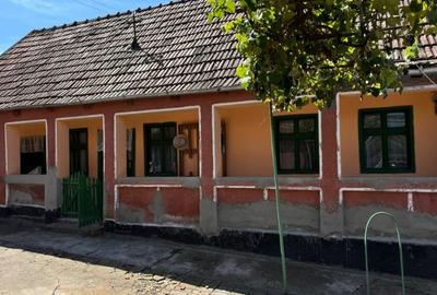 Casă cu 4 camere cu Teren 1500 Mp în Roșia de Secaș - 3