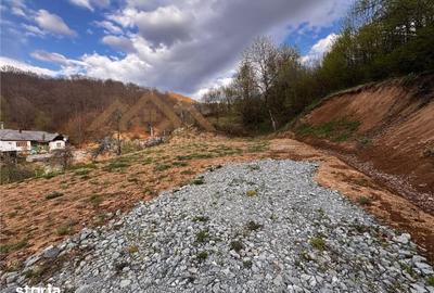 Teren de 5000 mp, în Tăuții-Măgherăuș - 2