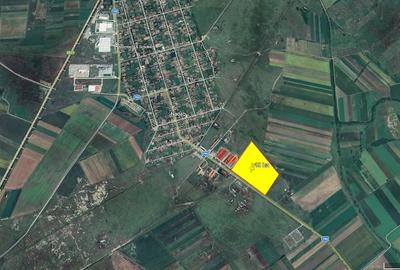 Teren de 100000 mp, în Nădab - 7