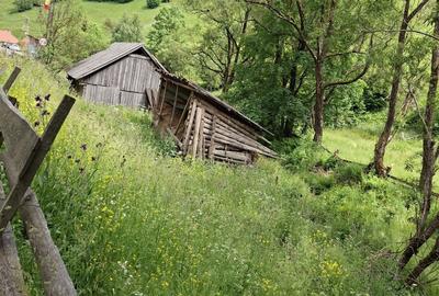 Teren de 4000 mp, în Muntele Băișorii - 2
