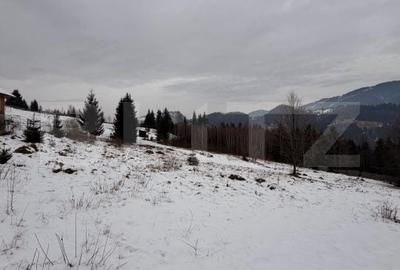 Teren de 10746 mp, în Fundu Moldovei - 4