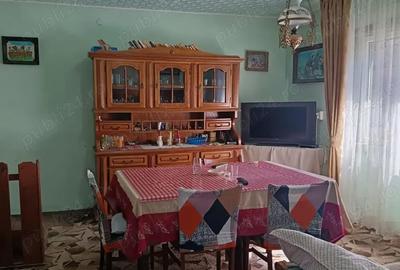 Casă cu 3 camere în Muntele Băișorii - 1