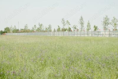 Teren de 8000 mp, în Otopeni - 3
