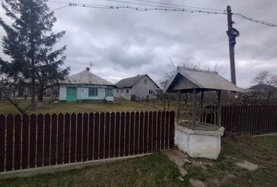 Casă cu Teren 3976 Mp în Dumbrăvița - 9