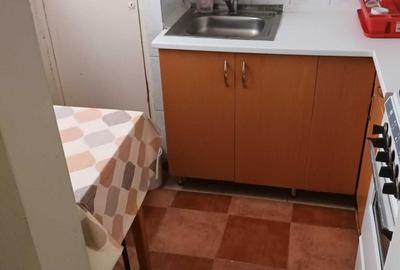 Garsonieră decomandată în Tudor - 4