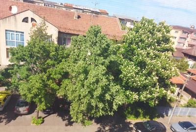 Garsonieră decomandată în Kiseleff - 4