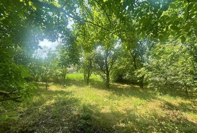 Casă cu 2 camere în Silivașu de Câmpie - 5