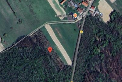 Teren extravilan de 4480 mp, în Lăzăreni