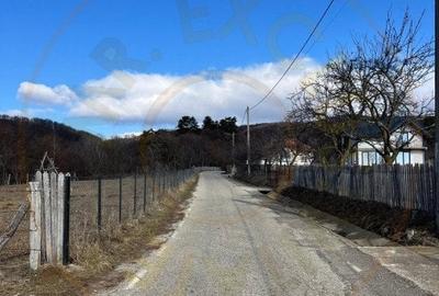 Teren agricol extravilan de 1542 mp, în Cicănești - 4