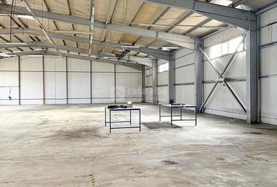 Spațiu industrial, de 1,100 mp, în Tătărași - 2