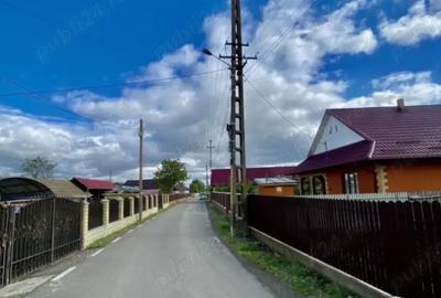 Teren de 8000 mp, în Stănilești