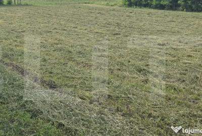 Teren în Stăuceni