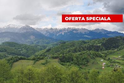 Teren Construcții intravilan de 7283 mp, în Moieciu de Jos - 1