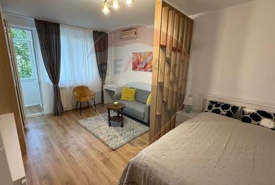 Apartament cu 1 camere semidecomandat, mobilat în Băneasa - 3
