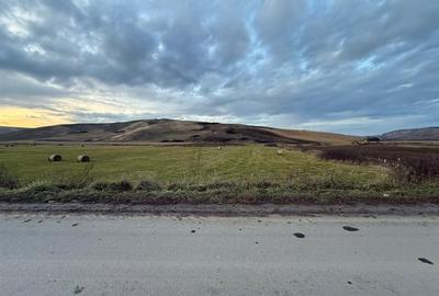 Teren Construcții de 6000 mp, în Cojocna - 6