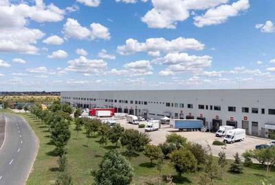 Spațiu industrial, de 17,734 mp, în Dragomirești-Vale - 4