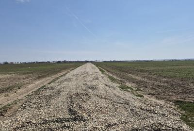 Teren Construcții intravilan de 9545 mp, în Berceni