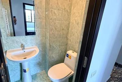 Apartament cu 3 camere decomandat, mobilat în Roșu - 13
