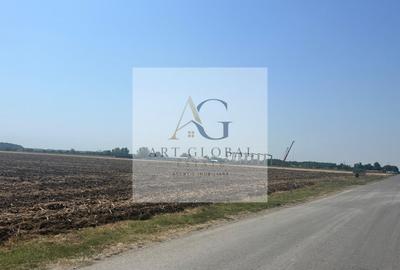 Teren Construcții intravilan de 65600 mp, în Căciulați - 8