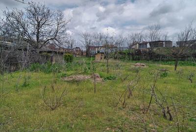 Teren de 1801 mp, în Ijdileni - 8