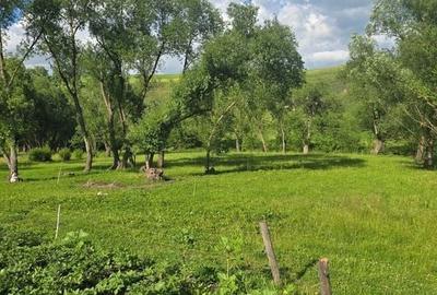 Casă cu 4 camere cu Teren 150 Mp în Burdujeni - 3