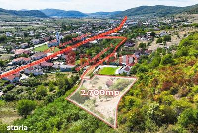 Teren de 2700 mp, în Viișoara