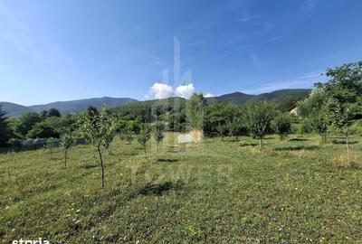 Teren de 650 mp, în Sadu