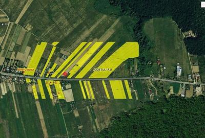 Teren de 9000 mp, în Poieni - 2